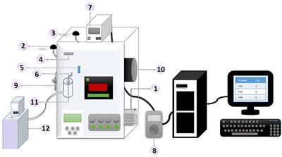 Comparative Study of Toluene and Hexane Adsorption on Activated Carbons From Gas and Liquid Phase. Enthalpy and Isotherms